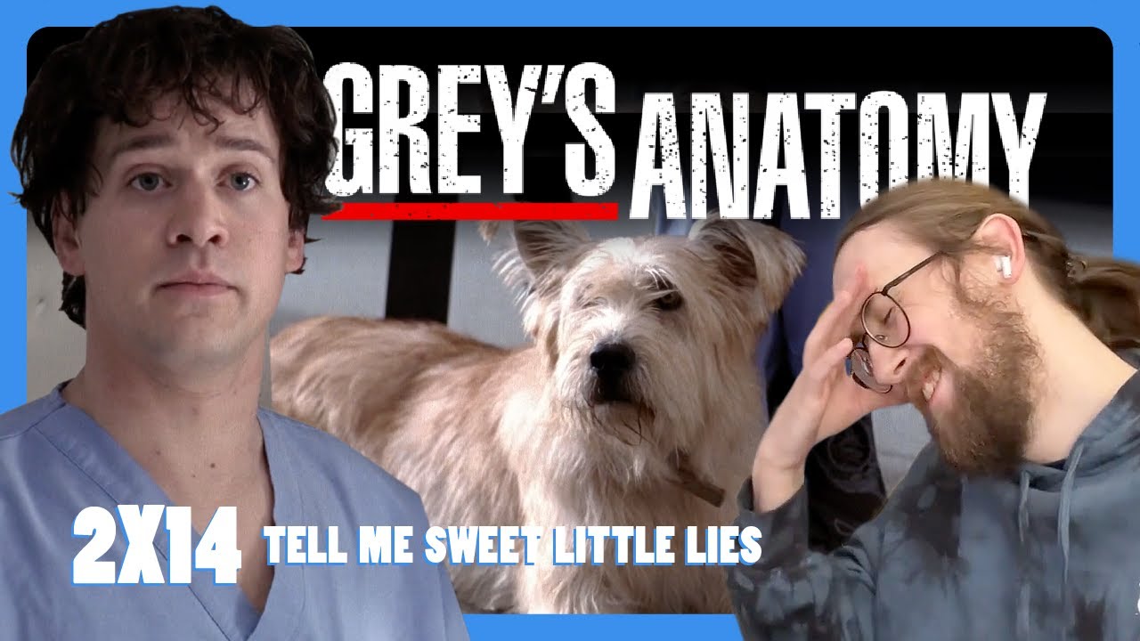 This is stress grey s anatomy 2x14 tell me sweet little lies