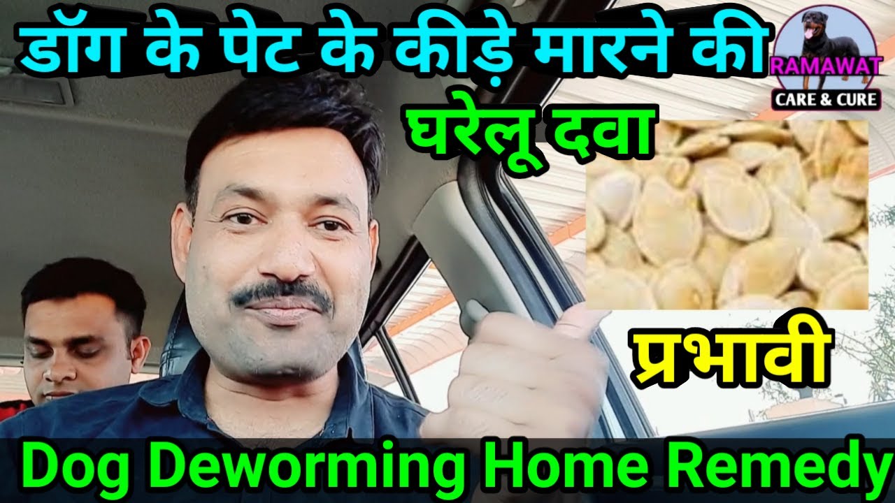 Dog Ke Pet Mein Ke Kide Kaise Mare 