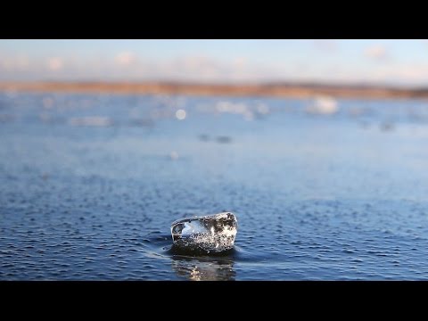 Videó: Hízik a hígító búza?