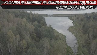 Ловля щуки в октябре на небольшом озере под лесом. Рыбалка на спиннинг 2019