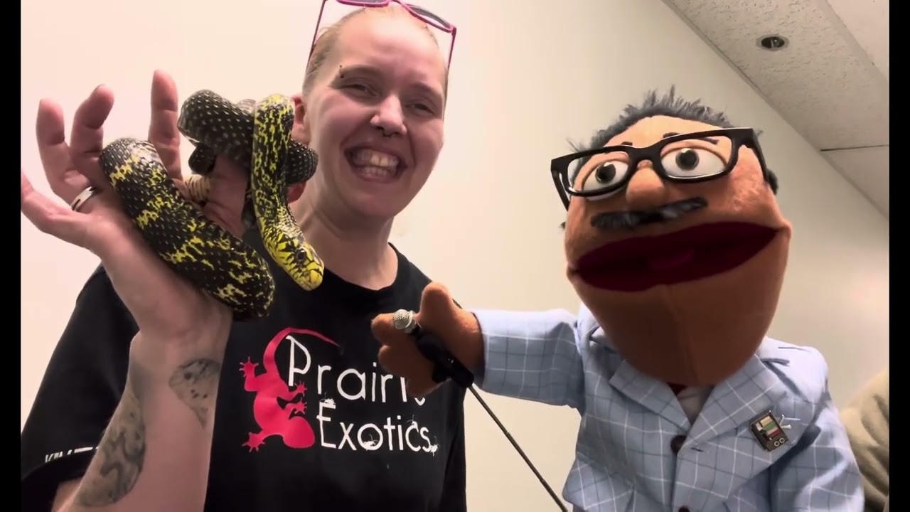 Frank Stone Meets a Snake