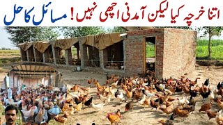 How do Chicken Farmers Make Money | Ways to Make Poultry Farming More Profitable | Dr. ARSHAD