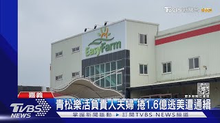 「蔬果界台積電」惡性倒閉!青松樂活夫婦逃美國遭通緝｜TVBS ... 