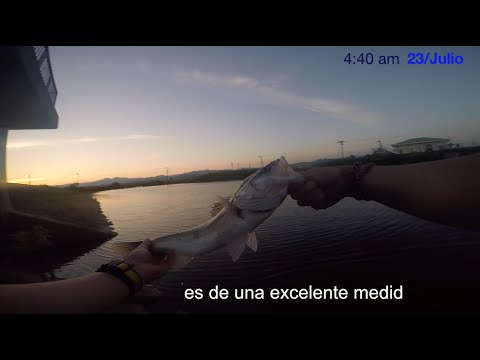 Julio 2016 / Vamos a Pescar!!