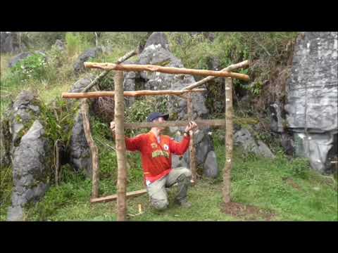 Video: Cómo Hacer Gallos En Un Palo