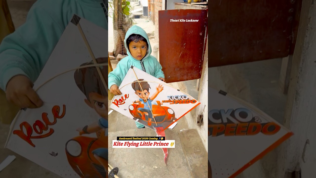 Kite Flying Little Prince 🤴 