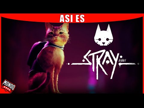 Stray, o “simulador de gato”, é classificado para Xbox Series e One