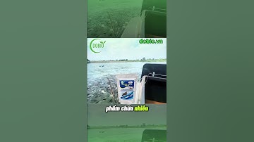 Siêu men cao tỏi - Giải pháp vàng cho tôm cá khoẻ mạnh #visinhdobio #fishing #dobio #dopa