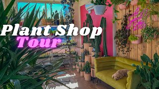 Lush Houseplant Shop Tour! Go House Plant Shopping With Me ♥