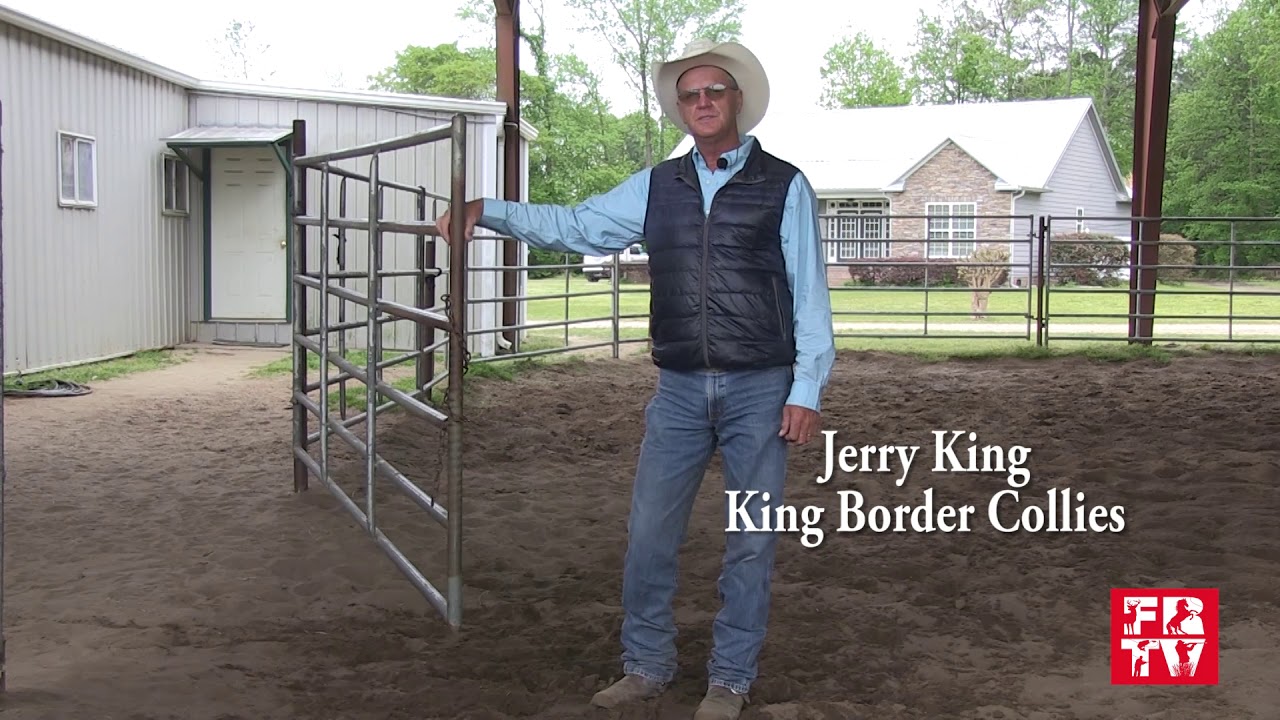 From the Ground Up with Jerry King discusses Putting a Handle on Young Horse