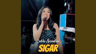 Download lagu Sigar