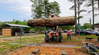 Epic 30ft Long Monster Cypress and Oak Log! Freehand Sawing