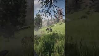 Just a good old Gun Fights. RDR2 | #eightlegsalty on #Twitch