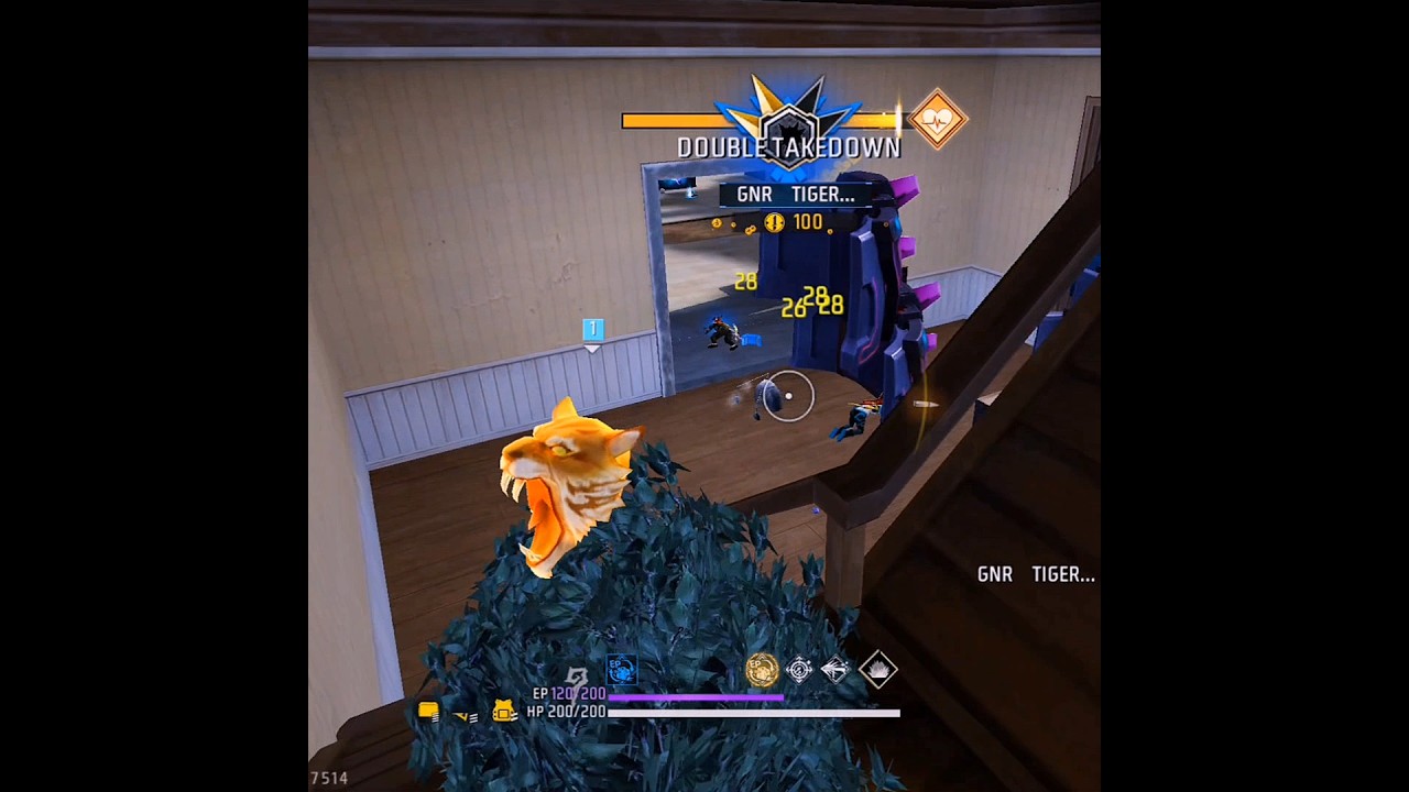 SPECIAL SOLO DAYER 😁 