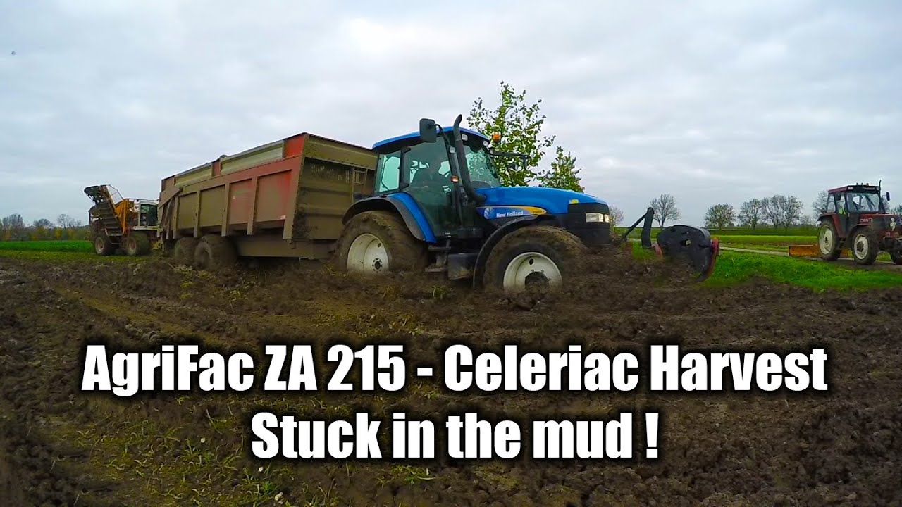 AgriFac ZA215 - Celeriac Harvest + Stuck