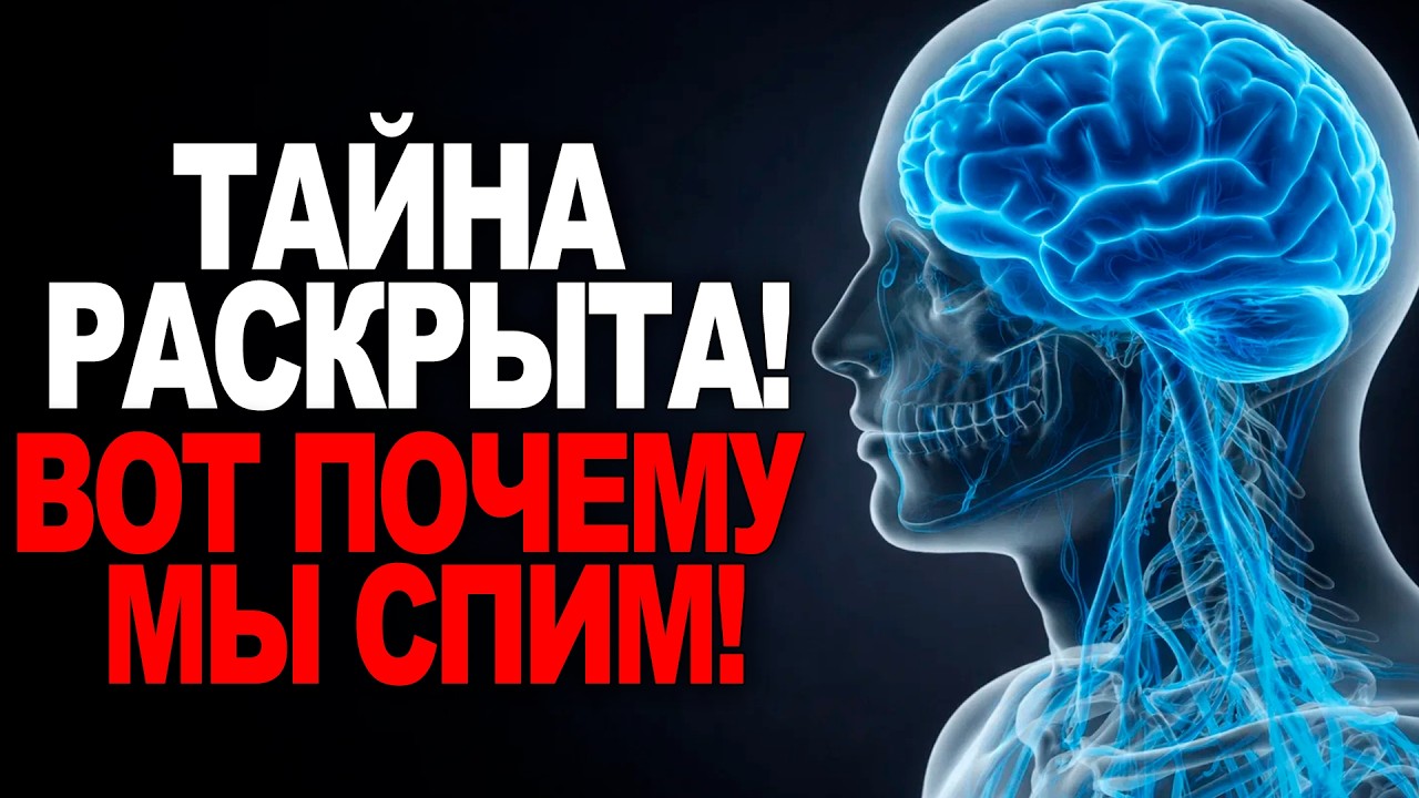 Почему человек спит 8 часов — правда, едва не стоившая нам выживания