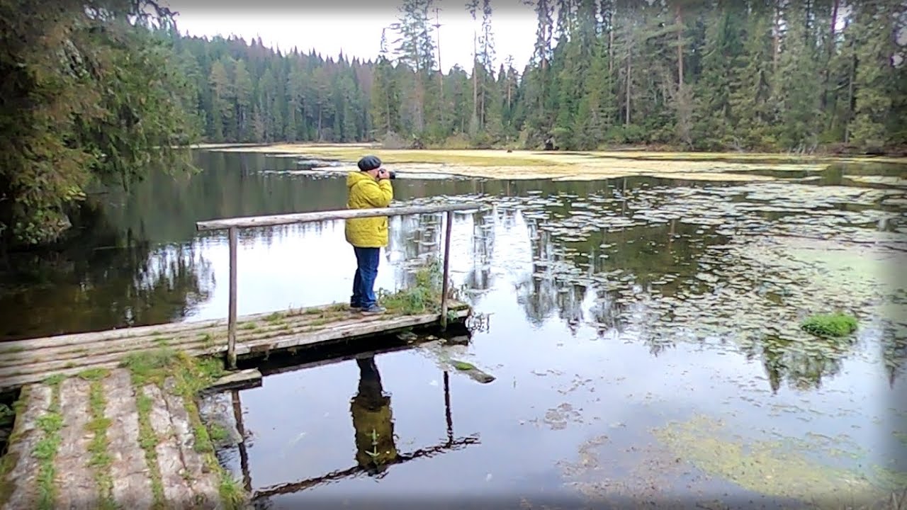 Теплое озеро суводь. Озеро теплое Кировская область. Озеро Суводь. Озеро теплое Суводь Кировская область. Незамерзающее озеро в Кировской области.