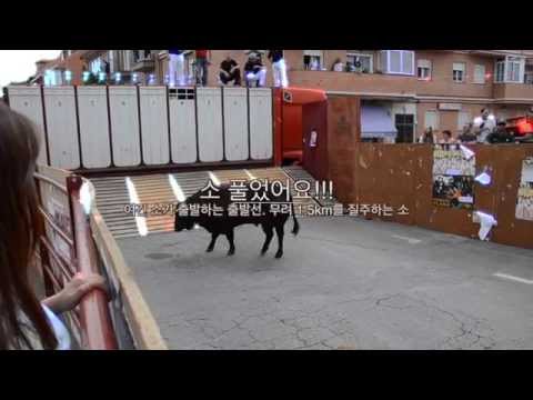 Vilella Toro 축제 (스페인 소몰이 축제)