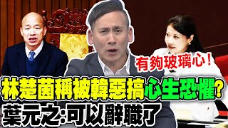 林楚茵稱被韓國瑜惡搞"心生恐懼"? 葉元之:"可以辭職了" - YouTube