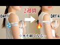 【二の腕痩せ】2週間で−4cm！！たった6分。座ったまま確実に細く引き締まる👹slim arms