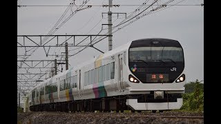 E257-M105編成 団体列車 18/10/26