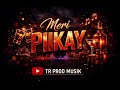 MERI PIIKAY 2026 TR PROD MUSIK