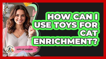 How Can I Use Toys For Cat Enrichment?
