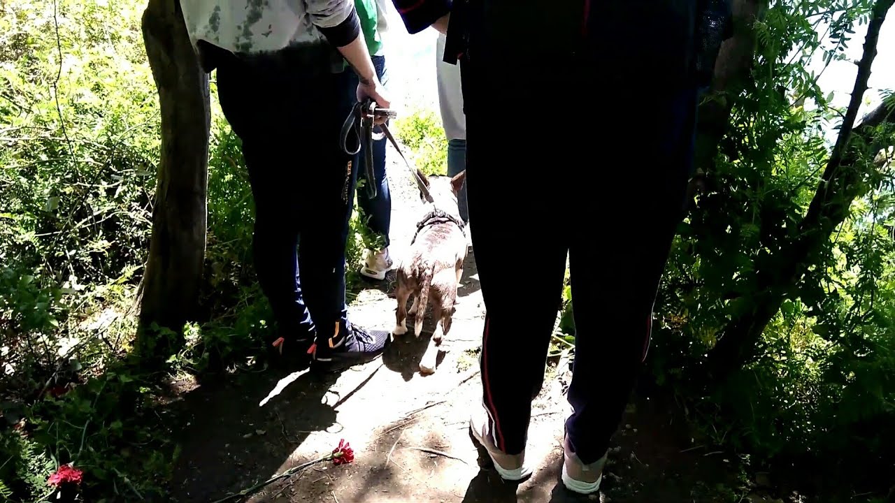 Скала Киселева. СМОТРОВАЯ ПЛОЩАДКА. Май 2019. 4к.