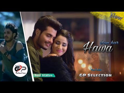 ban-kar-hawa-_-sed-status-_-ashiwini-bharowaj-_-gullu-banjara