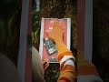 Mau Ngoprek IoT? Mappi32 Ready Buat Kamu