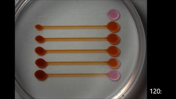 Microfluidics with fluid walls