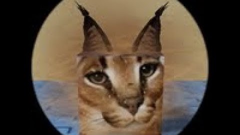 How to find Dust Storm Floppa in Find The Floppa Morphs (78) - Roblox