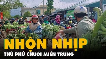 Thủ phủ chuối miền Trung nhộn nhịp ngày cuối năm