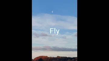 Thumbnail of Wings by Birdy - With word by word lyrics