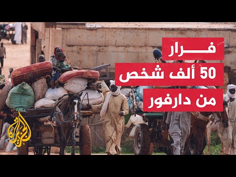 السودان.. مقتل 60 شخصا في الاشتباكات بين الجيش السوداني والدعم السريع في نيالا