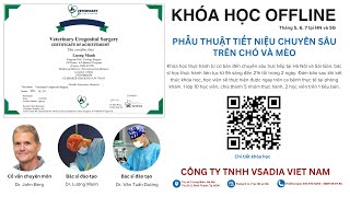 Chỉ định và những nguyên nhân dẫn đến thất bại trong phẫu thuật chuyển giới | VSADIA screenshot 5