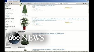Amazon to deliver live Christmas trees