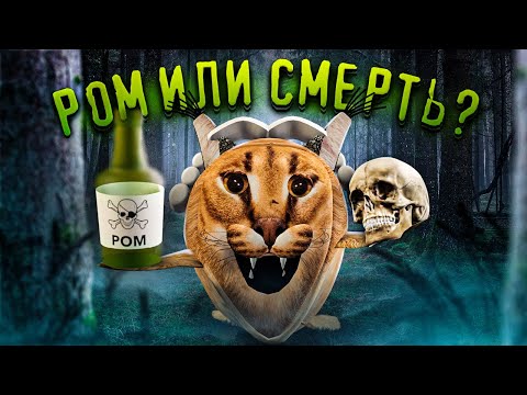 ДОКТОР ЛИВСИ ИДЕТ ИСКАТЬ ПЕЛЬМЕНИ | ИГРУШКИ БЛОПТОП