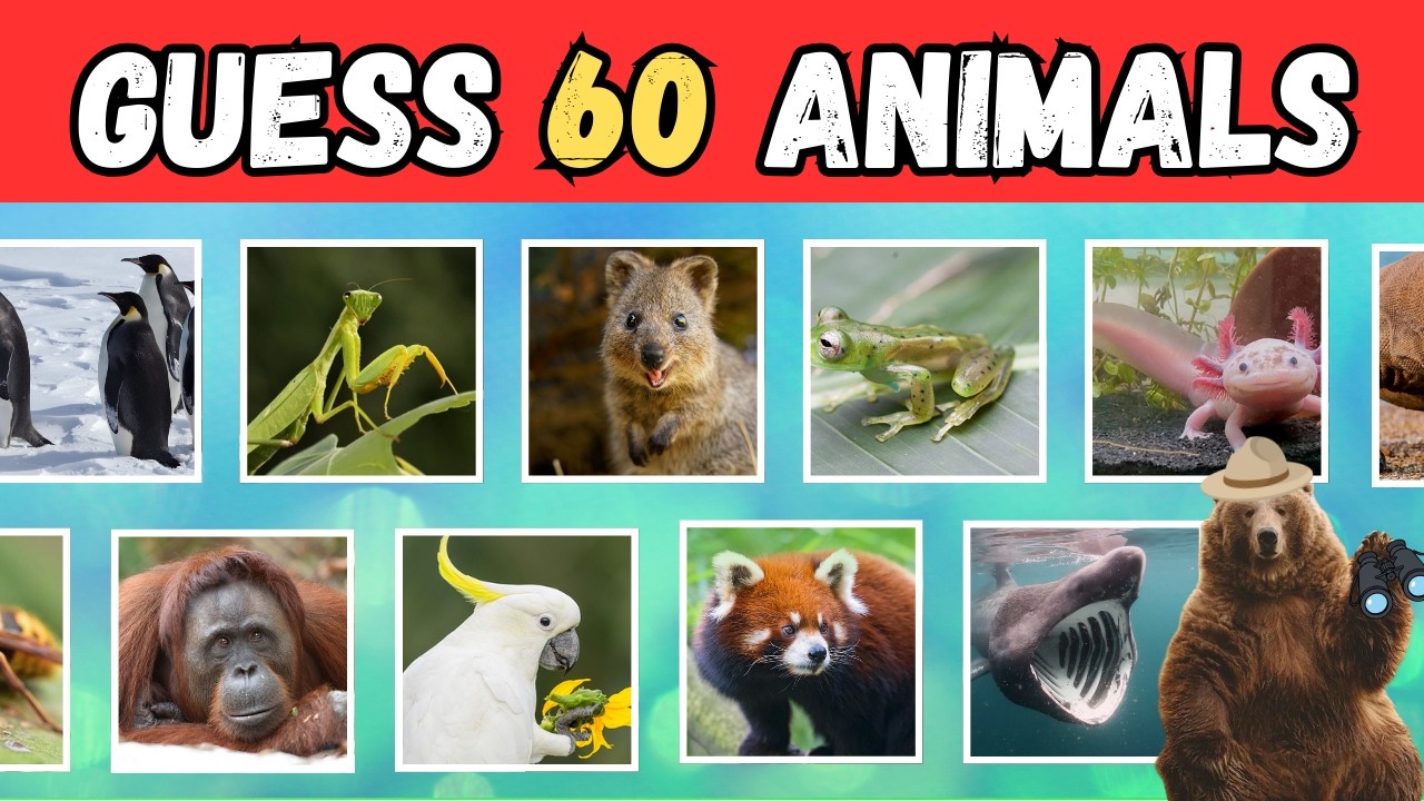 Викторина «Угадай 60 животных» — легкий, средний, сложный и невозможный уровни.