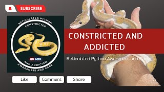 Retic Update Video