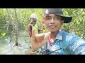 Dramatis explore satwa liar di hutan mangrove lombok mandalika project paket 2