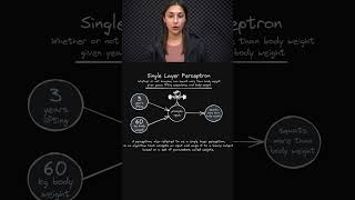 Diving into the Perceptron 🏊 - First Steps in DL 🚶‍♂️🧠 - Topic 023 #ai #ml #dl