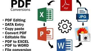 Data Entry Portfolio Sample