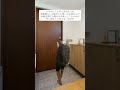 ありがとう #家族 #ショート
