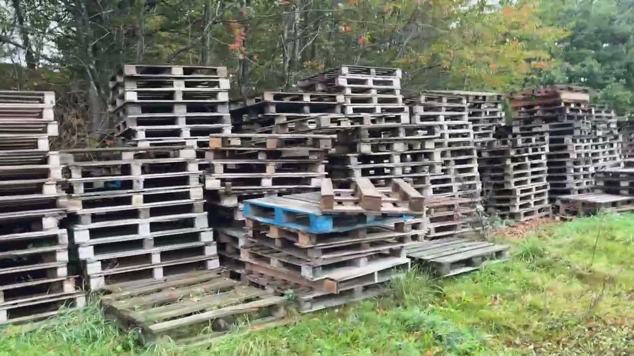Pallar / Sjöpallar Stort parti