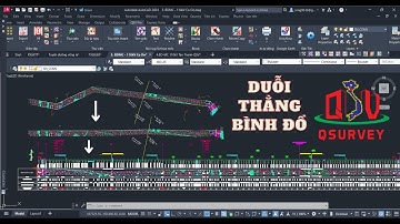 🌎DUỖI THẲNG BÌNH ĐỒ TUYẾN [DBD]
