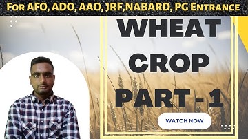 Wheat crop package of practices || Wheat Crop || #wheatcrop#agronomy#afo#aao#ado#nabard