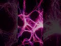 AI Found 21 Zero-Day Bugs 🤖 | Future of Cybersecurity?