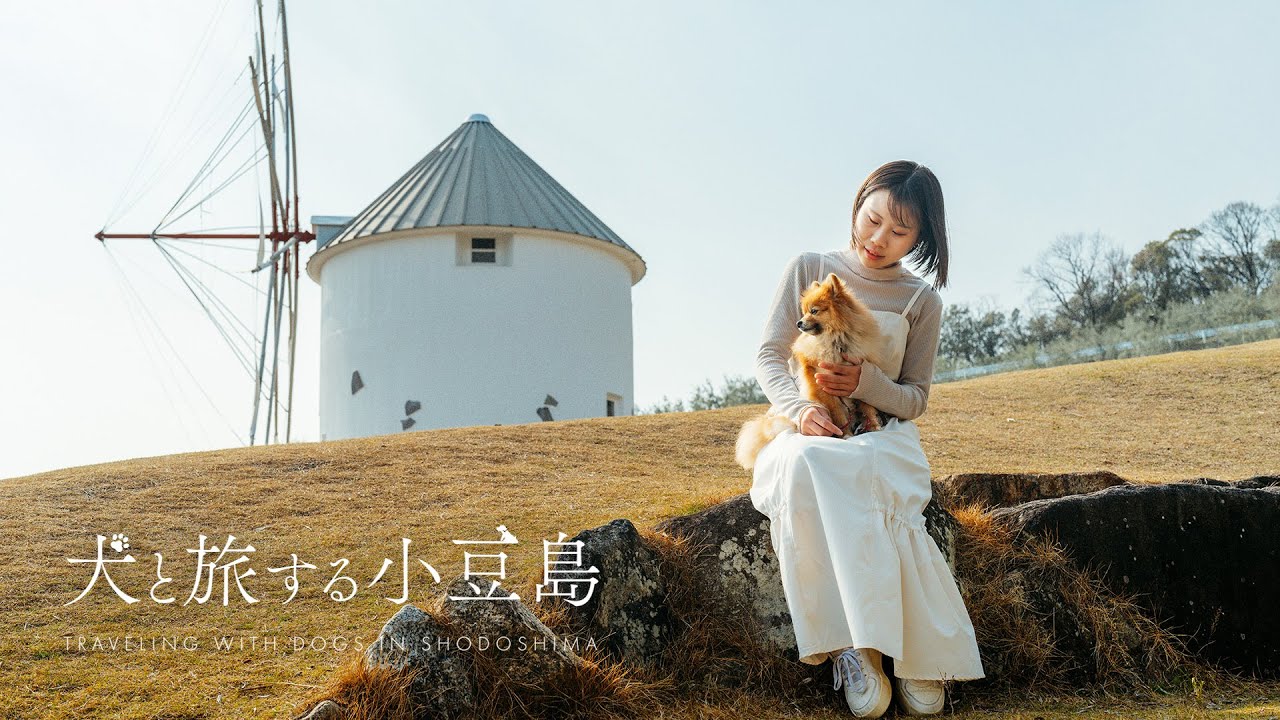 犬と旅する小豆島 プロモーション