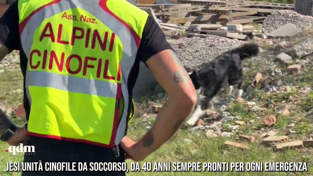 Jesi Unità Cinofile da Soccorso, da 40 anni sempre pronti per ogni emergenza